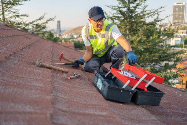 Best Insulated Siding Installation  in North Judson, IN